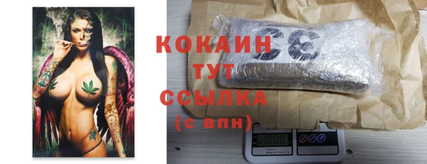 PSILOCYBIN Горняк