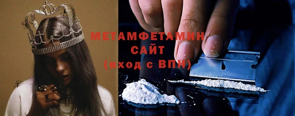 PSILOCYBIN Горняк
