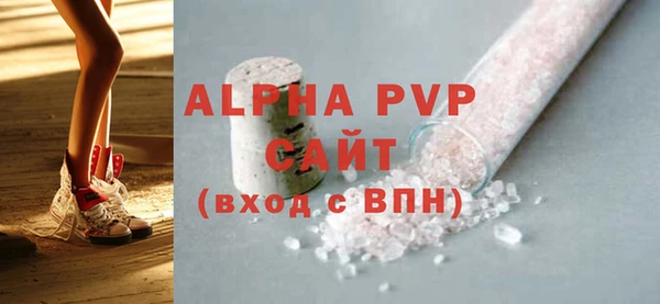 PSILOCYBIN Горняк