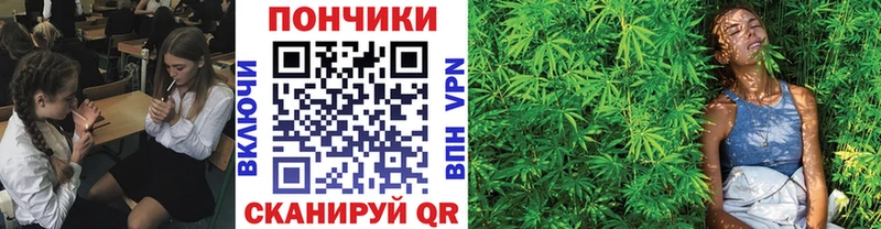 Бошки Шишки семена Купить Кировск
